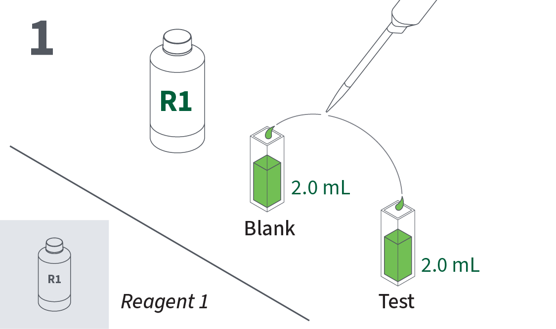 Pipette 2 mL of Reagent 1 into each of two cuvettes